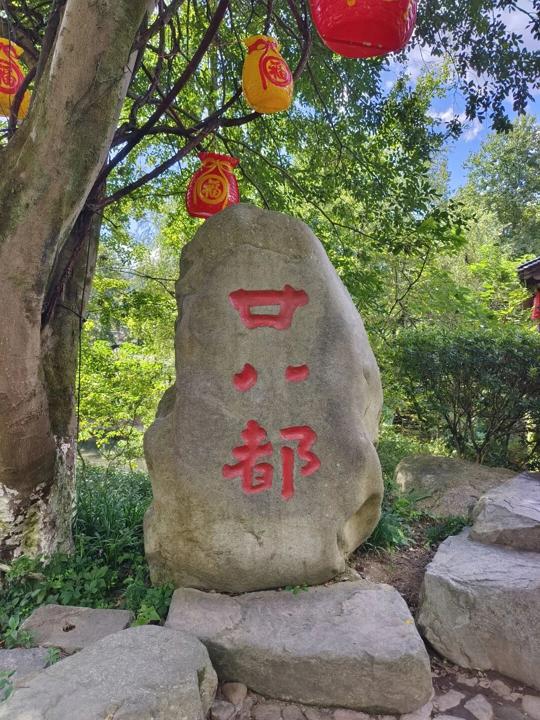 图片 9.png 图片 9.png